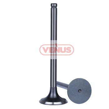 Engine_valve